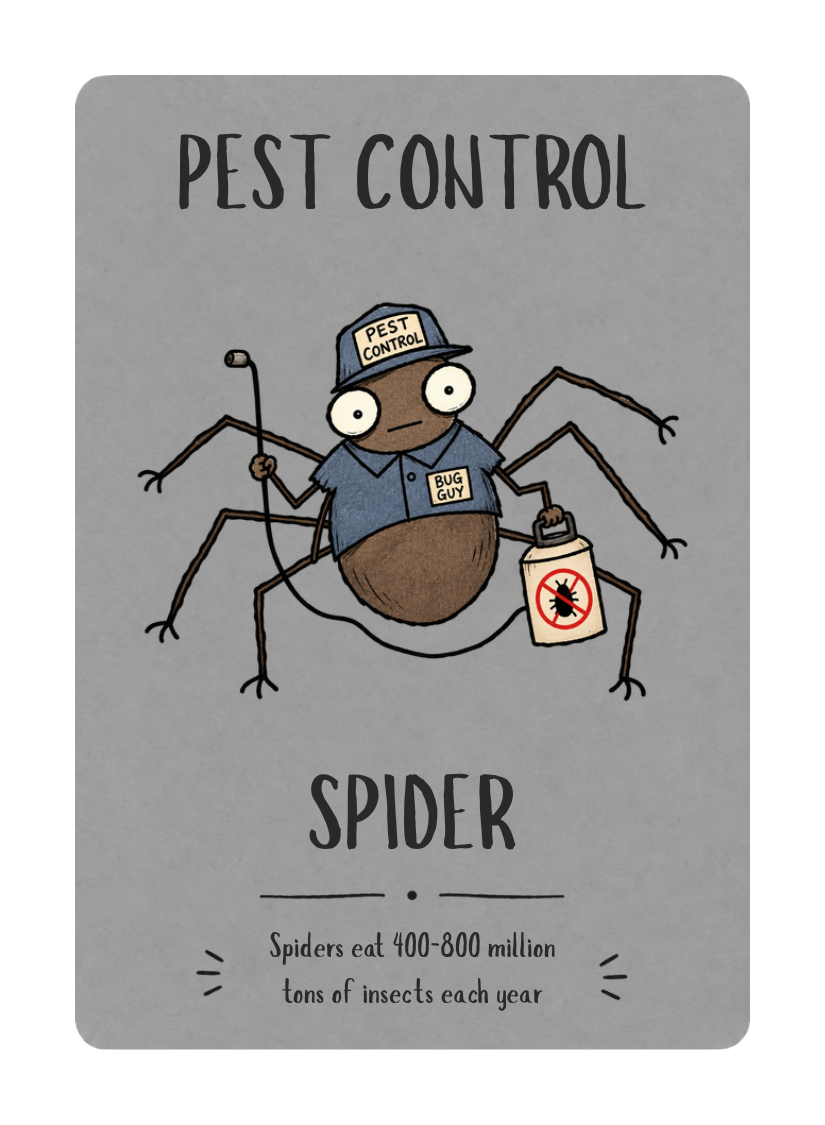 Pests in the Pantry